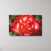 Rose Leinwand Wrap (Vorderseite)