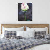 Rose Leinwand Wrap (Insitu (Schlafzimmer))