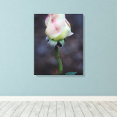 Rose Leinwand Wrap (Insitu (Holzboden))