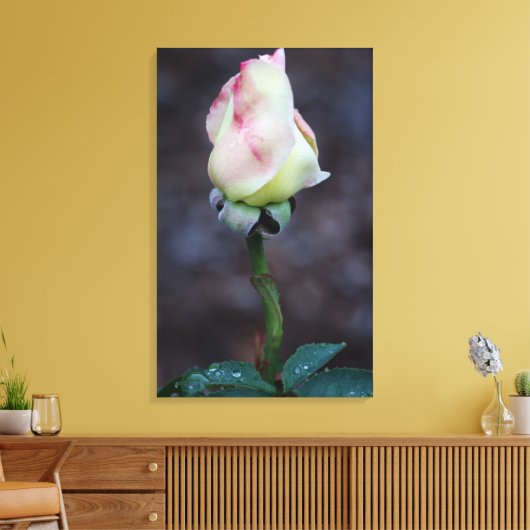 Rose Leinwand Wrap (Insitu (Wohnzimmer))