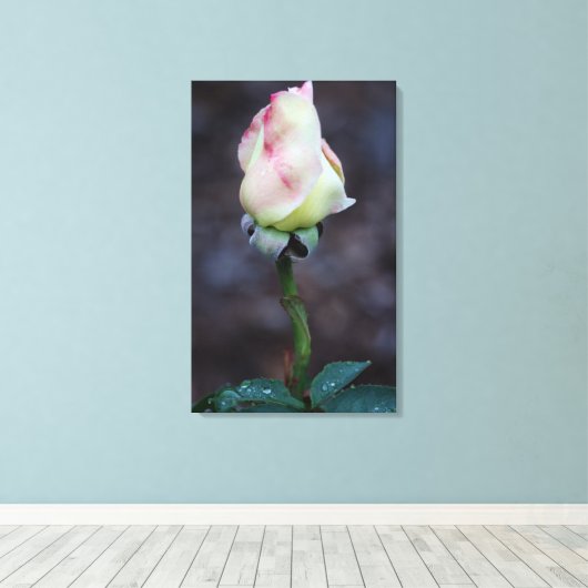 Rose Leinwand Wrap (Insitu (Holzboden))