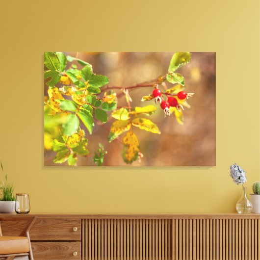 Rose Leinwanddruck (Insitu (Wohnzimmer))