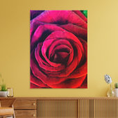 Rose Leinwanddruck (Insitu (Wohnzimmer))