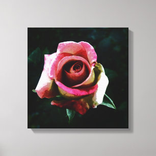 Rose Leinwanddruck