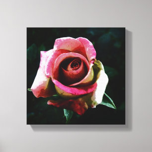 Rose Leinwanddruck
