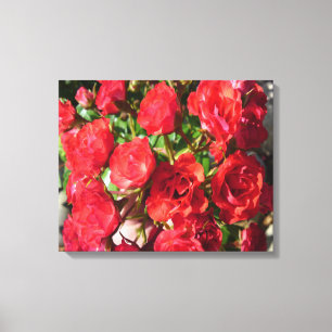 Rose Leinwanddruck