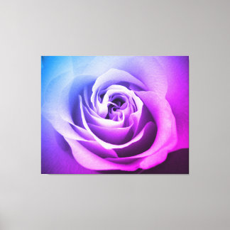 Rose Leinwanddruck