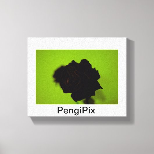 Rose Leinwanddruck (Vorderseite)