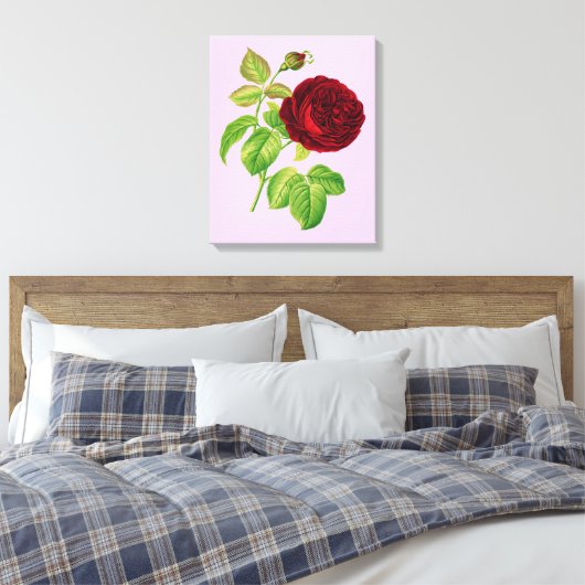 Rose Leinwanddruck (Insitu (Schlafzimmer))
