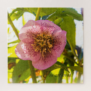 Rose Lenten. Helleborus. Du wirst geliebt! Puzzle