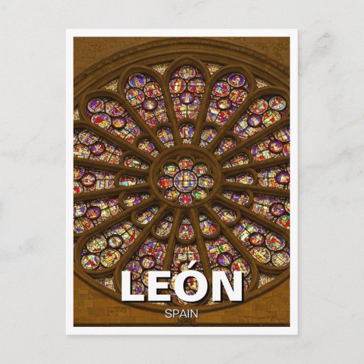 Rose León Spain Cathedral Postkarte (Vorderseite)