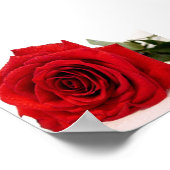 Rose Liebe Canvas Poster (Ecke)