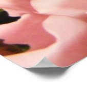 Rose Liebe Poster (Ecke)