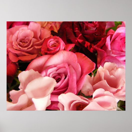 Rose Liebe Poster (Vorne)