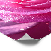 Rose Liebe - von Morgendämmerung geküsst Poster (Ecke)