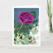 Rose lila Blumengarten Karte (Vorderseite)