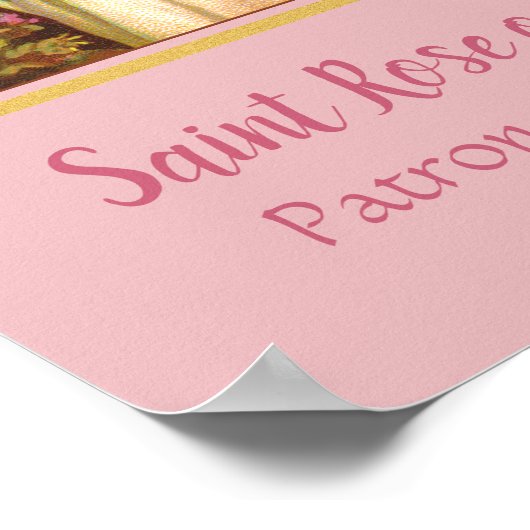 Rose Lima durch Nacht (M 024) Poster (Ecke)