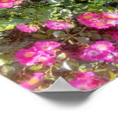 Rose Love Poster (Ecke)