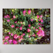 Rose Love Poster (Vorne)