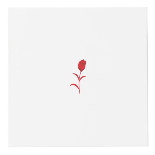 Rose Madder, Lava Red, Blumendesign Würfel (Vorderseite)