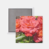 Rose Magnet (Vorderseite/Rückseite)