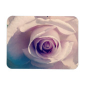 Rose Magnet (Horizontal)