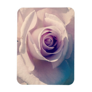 Rose Magnet