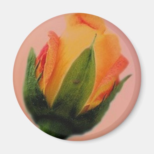 Rose Magnet (Vorne)