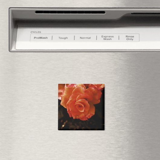 Rose Magnet (In Situ (Geschirrspüler))