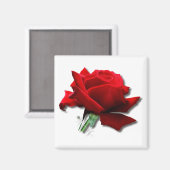 Rose Magnet (Vorderseite/Rückseite)