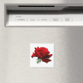 Rose Magnet (In Situ (Geschirrspüler))
