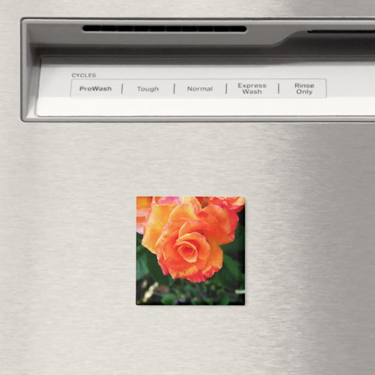 Rose Magnet (In Situ (Geschirrspüler))