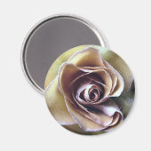 ROSE MAGNET (Vorderseite/Rückseite)