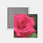 Rose Magnet (Vorderseite/Rückseite)
