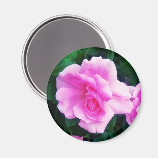 ROSE MAGNET (Vorderseite/Rückseite)