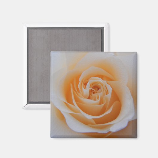 Rose Magnet (Vorderseite/Rückseite)