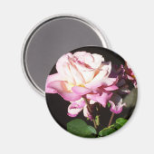 Rose Magnet (Vorderseite/Rückseite)