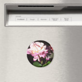 Rose Magnet (In Situ (Geschirrspüler))