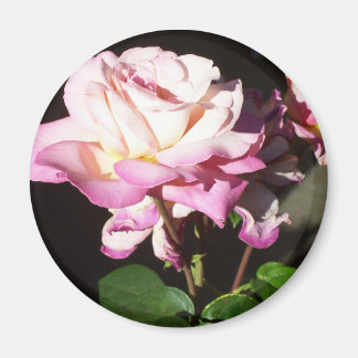 Rose Magnet