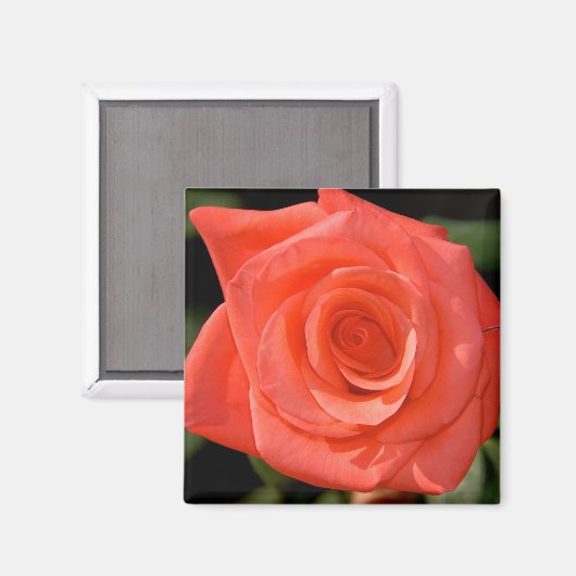 Rose Magnet (Vorderseite/Rückseite)