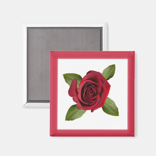 Rose Magnet (Vorderseite/Rückseite)