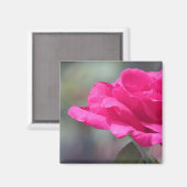 Rose Magnet (Vorderseite/Rückseite)