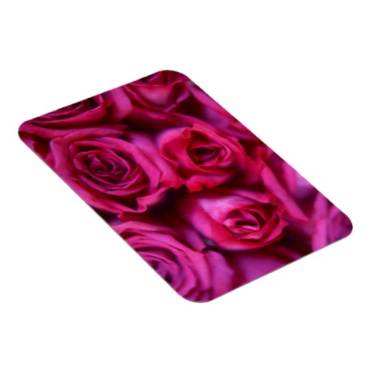 Rose Magnet (Rechte Seite)