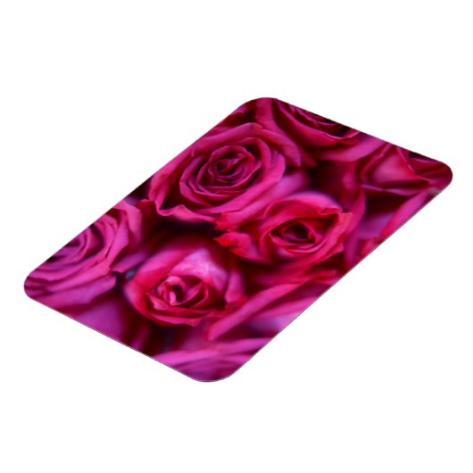 Rose Magnet (Linke Seite)