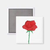 Rose Magnet (Vorderseite/Rückseite)