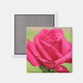 Rose Magnet (Vorderseite/Rückseite)
