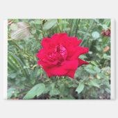 Rose Magnet (Vorderseite)