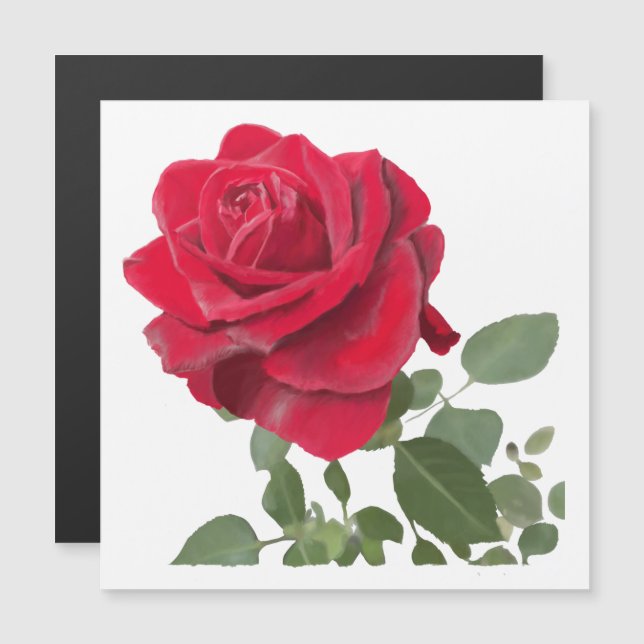 Rose Magnetkarte (Vorne/Hinten)