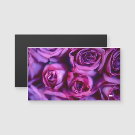 Rose Magnetkarte (Vorne/Hinten)