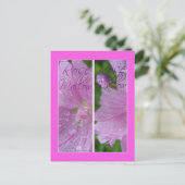 ROSE MALLOW LESEZEICHEN POSTKARTE (Stehend Vorderseite)